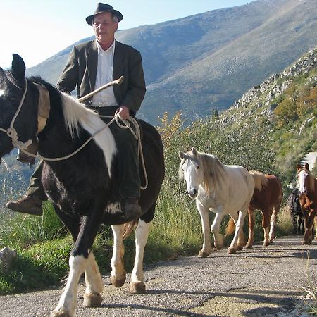 Il Nido Dei Gemelli Villa Formia Esterno foto