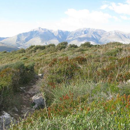 Il Nido Dei Gemelli Villa Formia Esterno foto