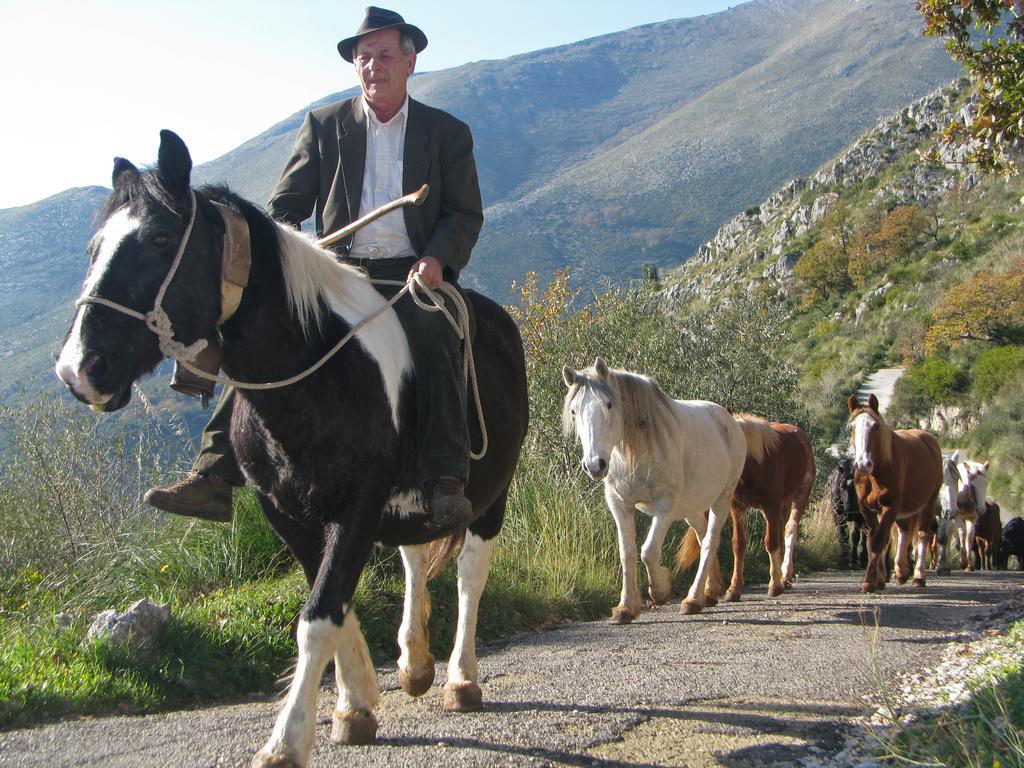 Il Nido Dei Gemelli Villa Formia Esterno foto